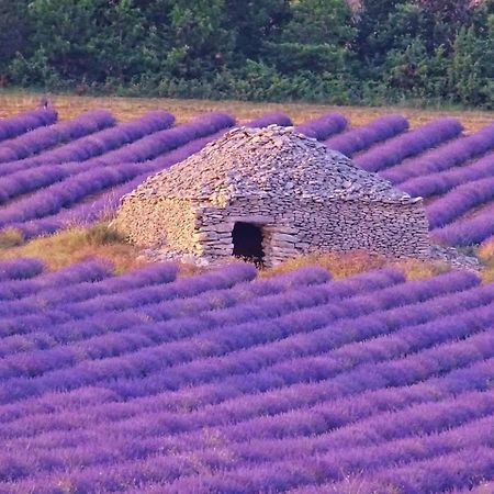 Entre Ventoux Et Luberon Chambre D'Hote سولت دي فوكلوز المظهر الخارجي الصورة