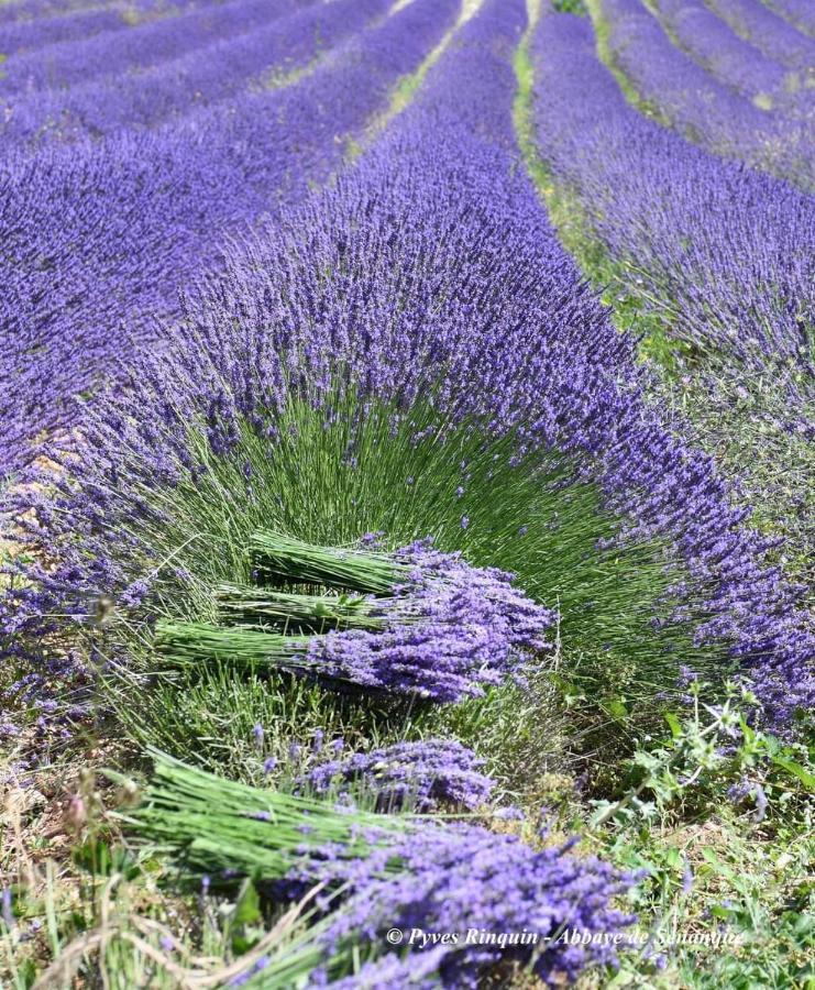 Entre Ventoux Et Luberon Chambre D'Hote سولت دي فوكلوز المظهر الخارجي الصورة