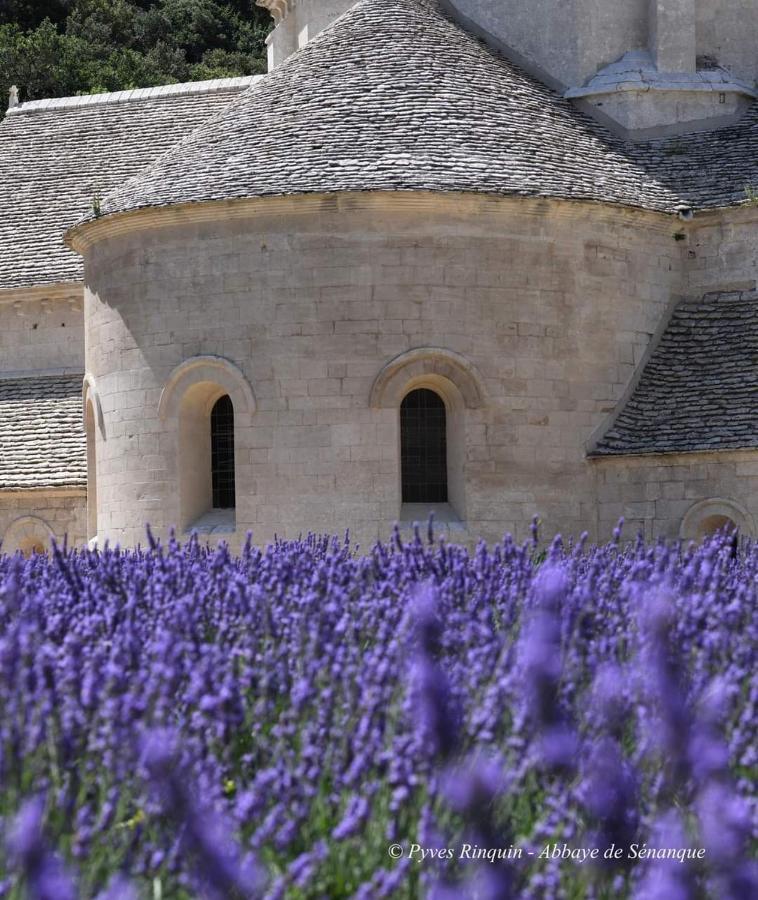 Entre Ventoux Et Luberon Chambre D'Hote سولت دي فوكلوز المظهر الخارجي الصورة