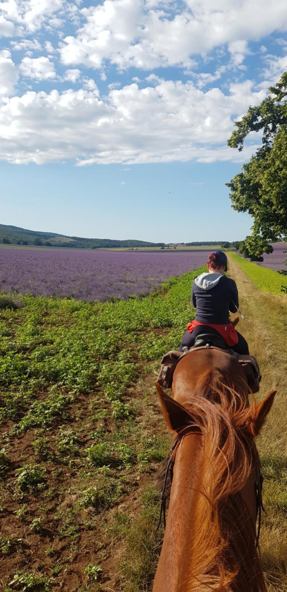 Entre Ventoux Et Luberon Chambre D'Hote سولت دي فوكلوز المظهر الخارجي الصورة