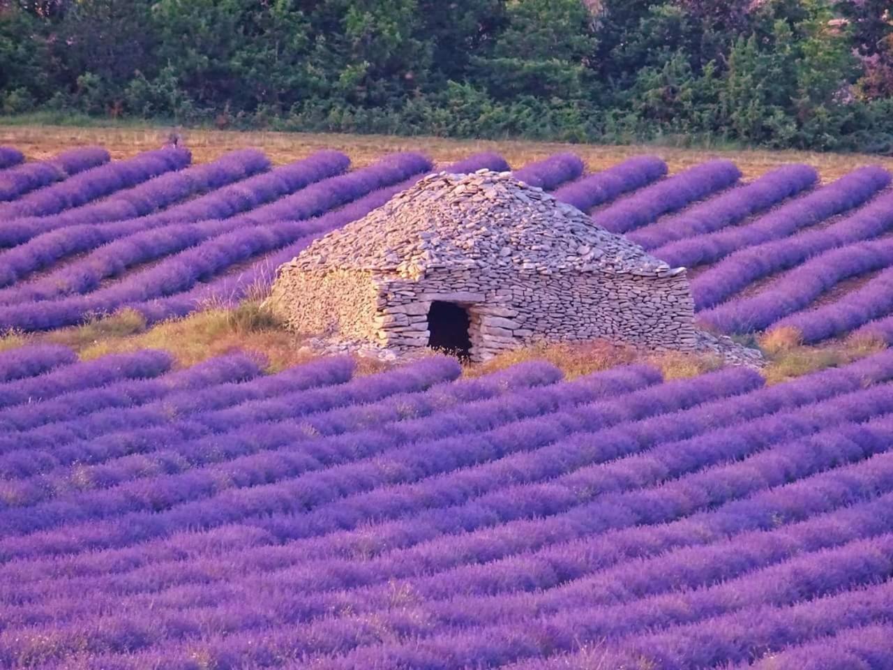 Entre Ventoux Et Luberon Chambre D'Hote سولت دي فوكلوز المظهر الخارجي الصورة